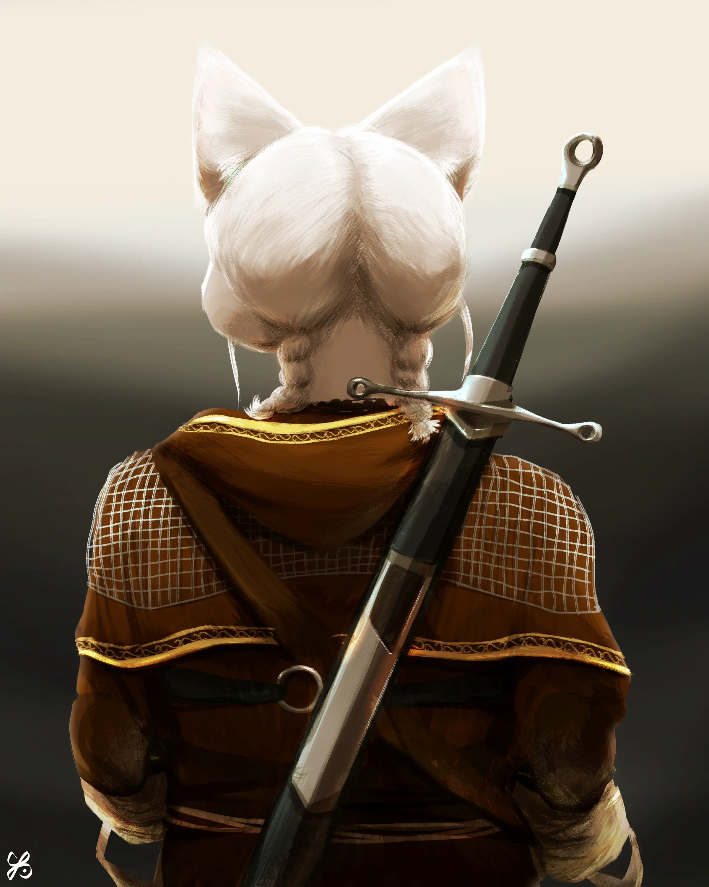 A back view of Van in a knight's armor